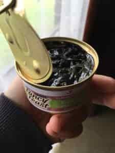 Purina "Fancy Feast" - Or let's say "Not so Fancy Feast" 1 Purina Fancy Feast Bad Batch