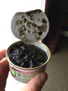 Purina "Fancy Feast" - Or let's say "Not so Fancy Feast" 2 Purina Fancy Feast Bad Batch 02