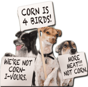 Are vets nutritionists? 1 Fillers in dog food