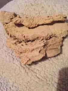 Woolworths Baxters Dog Food - Sick/Deceased Dog Reports