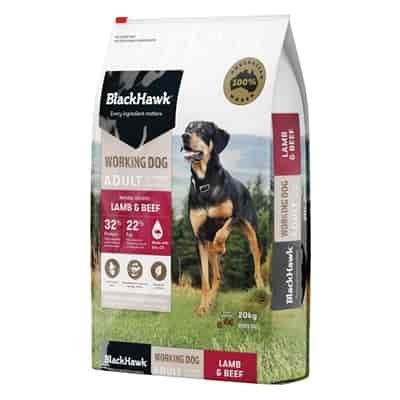 Black Hawk Working Dog