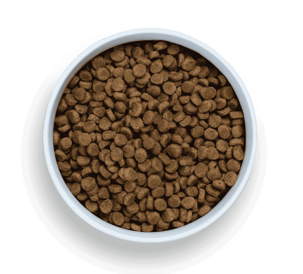 Nood Dog Food Review 3 Nood dog food review
