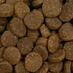 LifeWise BIOTIC Dog Food Review 2 LifeWise BIOTIC