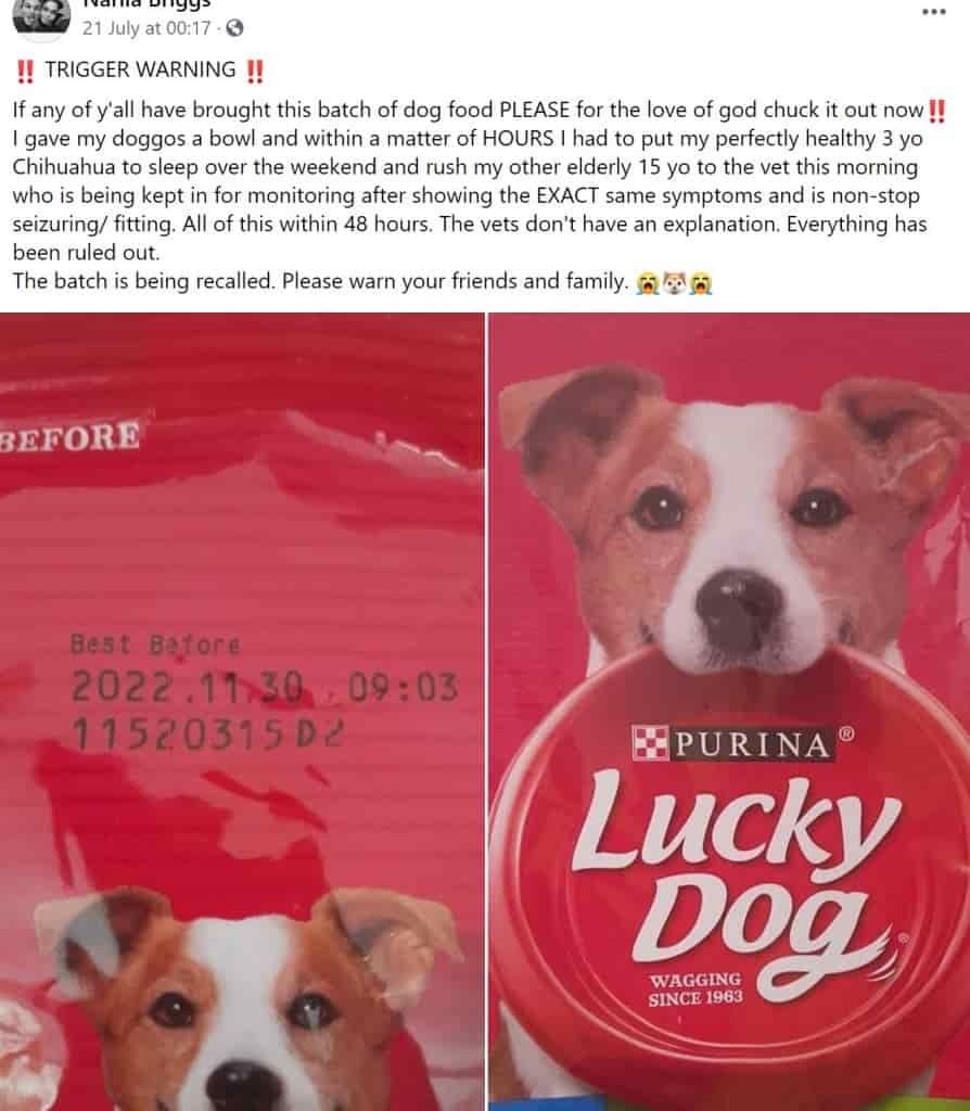Purina Lucky Dog Dog Food Review 5 Purina Lucky Dog Dog Food Review