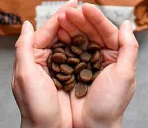 ACANA Dog Food Review 1 ACANA Dog Food Review