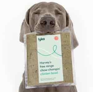 American dog foods (and my best recommendations!) 9 Best American dog foods - Lyka