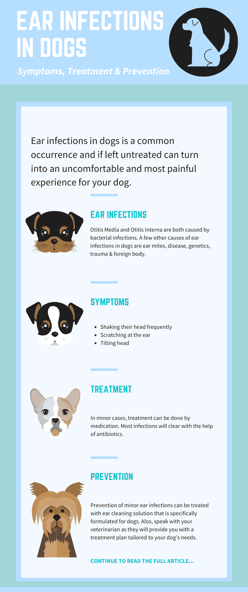 Ear Infections in Dogs - Symptoms, Treatment, & Prevention 6 Ear Infections in Dogs Infographic