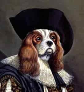 Cavoodle Breed Information (Cavapoo) 2 King Charles II and King Charles Spaniel