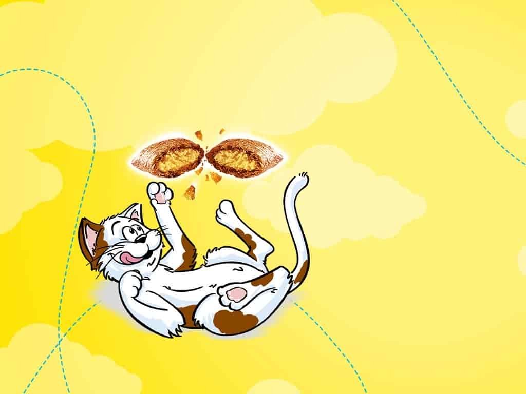 Temptations Cat Treats Review 1 Temptations cat treats