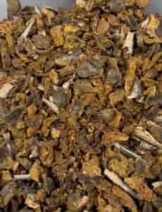 Healthy Active Pet Dog Food - What does it look like
