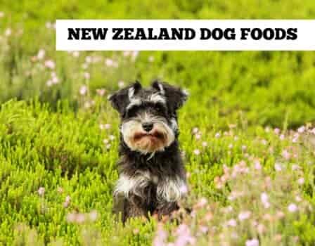New Zealand Dog Food - in America