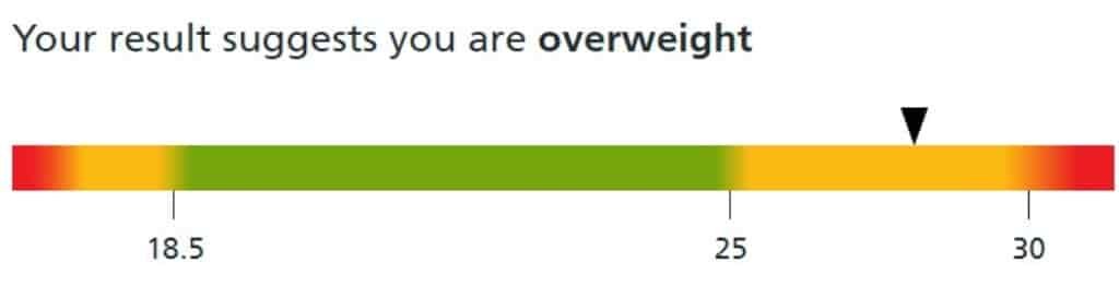 My Carnivore Diet Diary 10 Weight loss after 3 Days on a Carnivore Diet