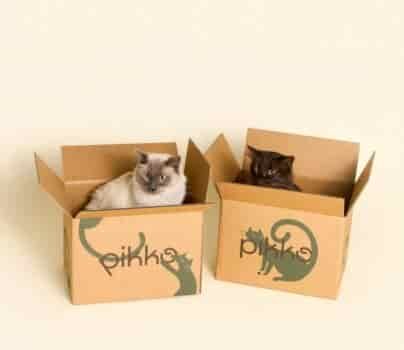 Pikko cat food review
