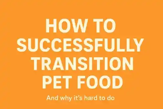 How to transition dog food and cat food