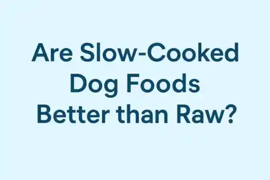 Slow Cooked Dog Foods